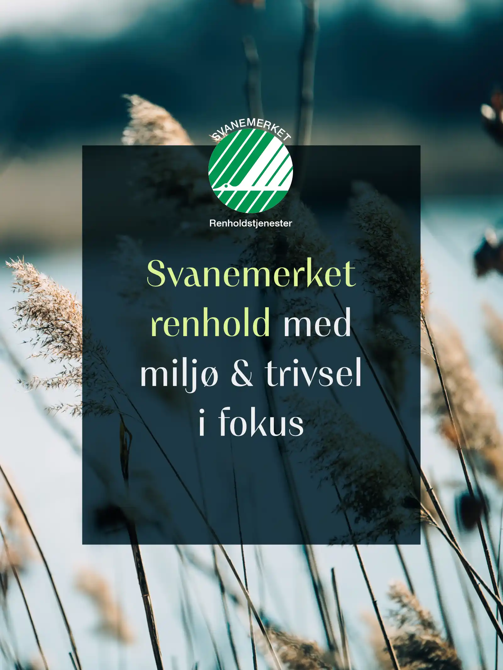SVANEMERKET_RENHOLD
