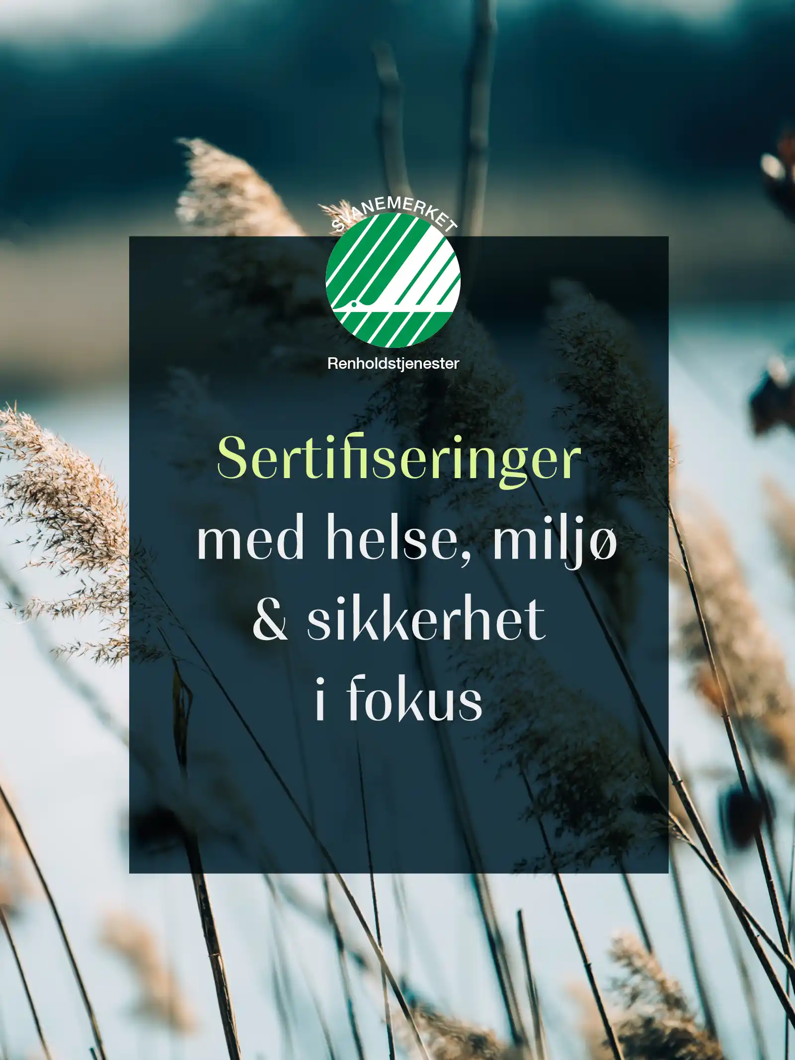 HOVEDSIDE_ BÆREKRAFT_3